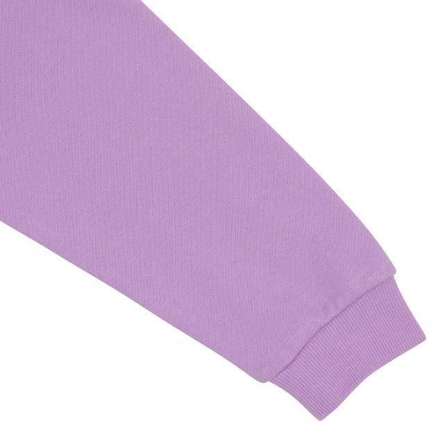 【ベビードール】ジェシー キャラクターサガラロゴトレーナー 9811K / ベビーサイズ キッズ トップス 長袖 カレッジ風ロゴ 春秋冬