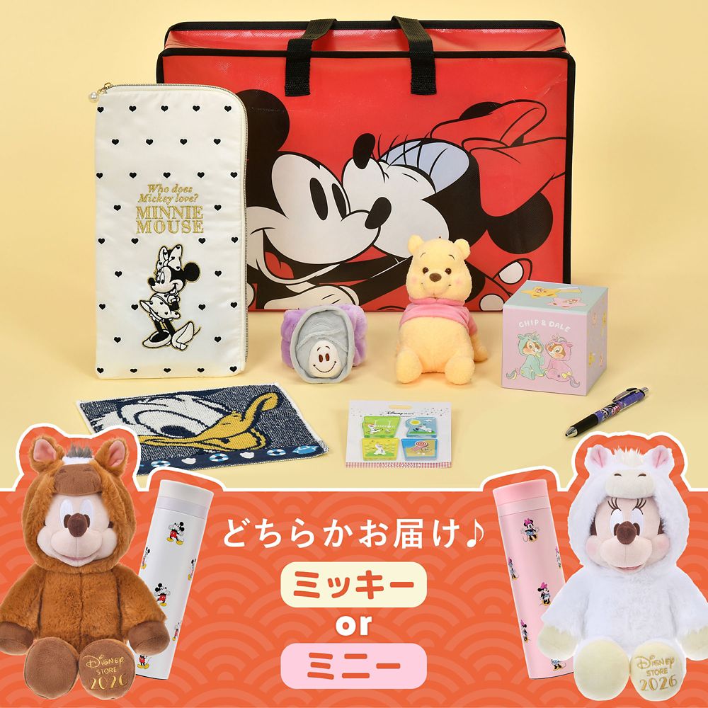 【予約】ラッキーバッグ 2026 (福袋) 3500円